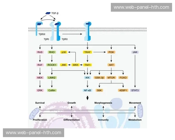 灾难备份机制在转播中心部署，保障信号不间断播出