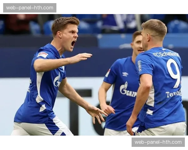 霍芬海姆与弗赖堡上演进球大战，最终3-3握手言和