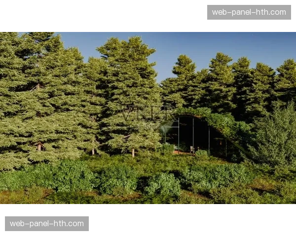 苏格兰为举办2026世锦赛，对标志性森林赛道进行生态友好型改造